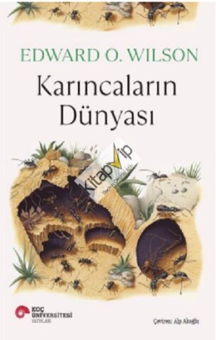 Karıncaların Dünyası