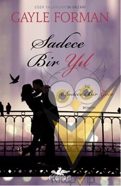 Sadece Bir Yıl ve Sadece Bir Gece