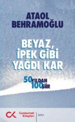 Beyaz İpek Gibi Yağdı Kar