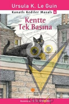 Kanatlı Kediler Masalı 4 - Kentte Tek Başına