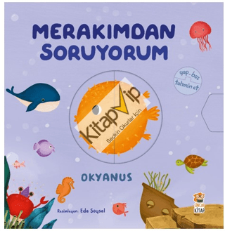 Merakımdan Soruyorum - Okyanus