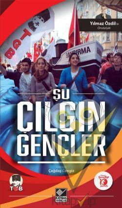 Şu Çılgın Gençler