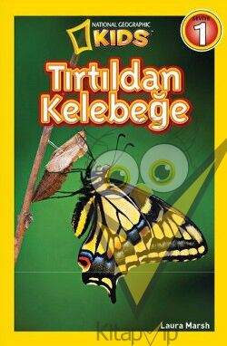 Tırtıldan Kelebeğe