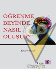 Öğrenme Beyinde Nasıl Oluşur?