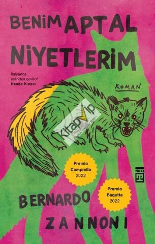 Benim Aptal Niyetlerim