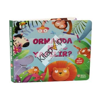 Ormanda Ne Yapılır?