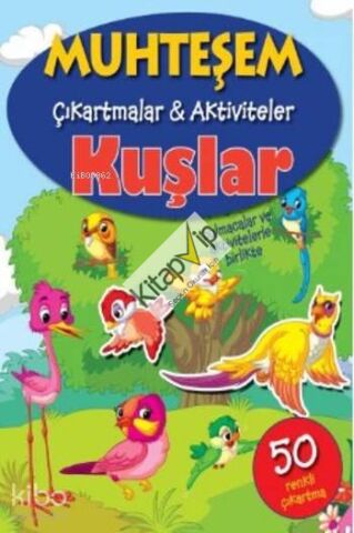 Muhteşem Çıkartmalar Aktiviteler Kuşlar