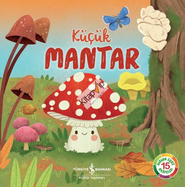 Küçük Mantar