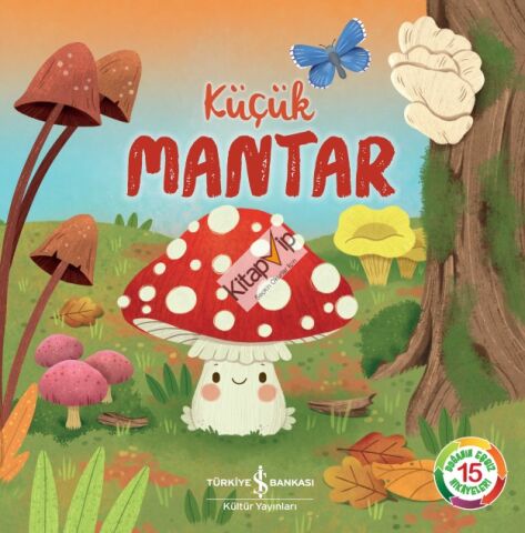 Küçük Mantar