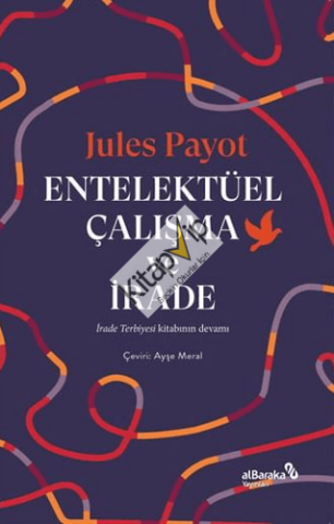 Entelektüel Çalışma ve İrade