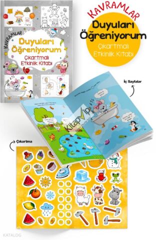 Kavramlar - Duyuları Öğreniyorum