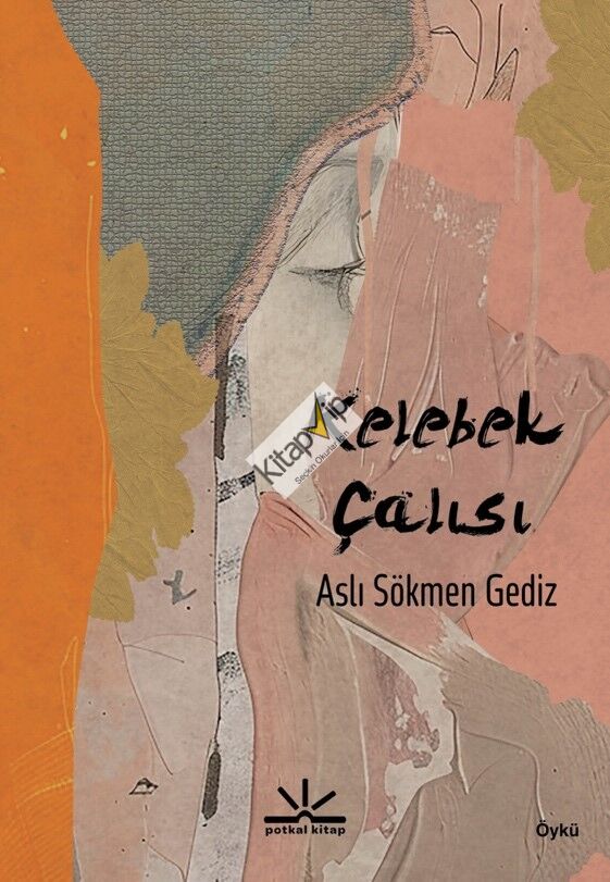 Kelebek Çalısı