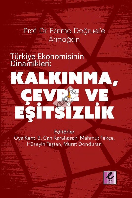 Prof. Dr. Fatma Doğruel'e Armağan Türkiye Ekonomisinin Dinamikleri:  Kalkınma, Çevre ve Eşitsizlik
