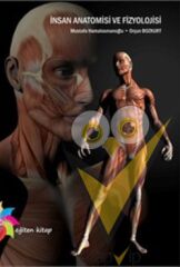 İnsan Anatomisi ve Fizyolojisi
