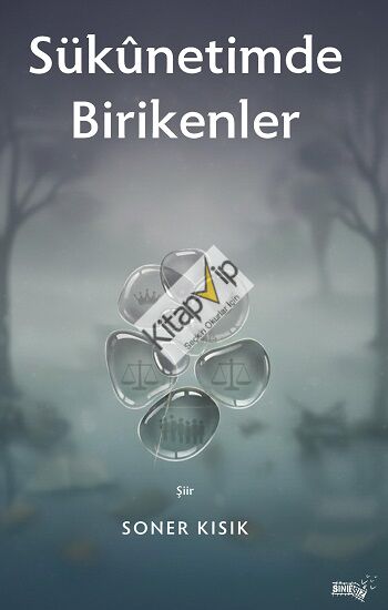 Sukunetimde Birikenler