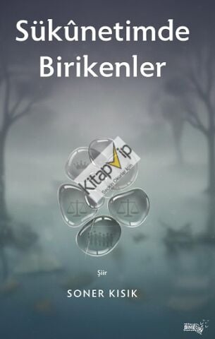 Sukunetimde Birikenler