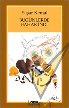 Bugünlerde Bahar İndi