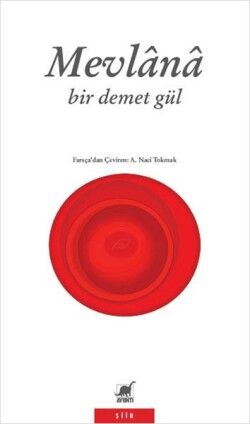 Bir Demet Gül