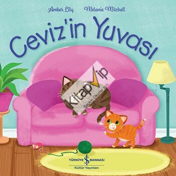 Ceviz’in Yuvası