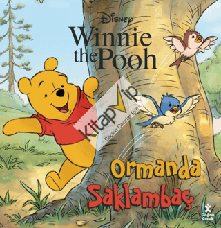 Disney Winnie The Pooh - Ormanda Saklambaç