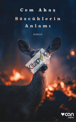 Sözcüklerin Anlamı