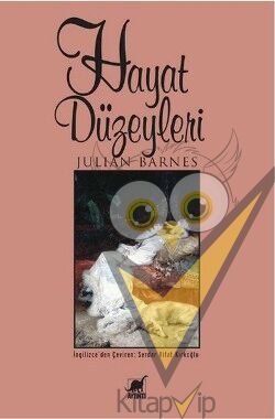 Hayat Düzeyleri