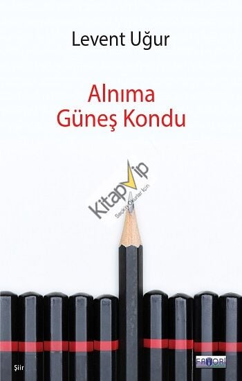 Alnıma Güneş Kondu