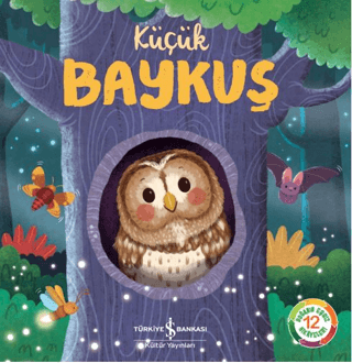 Küçük Baykuş