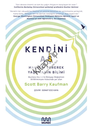 Kendini Aş