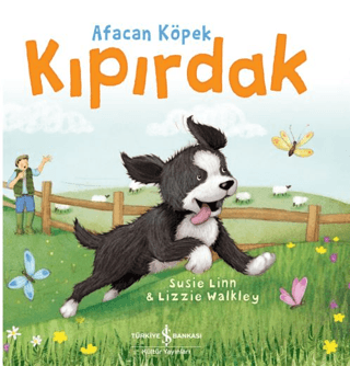 Afacan Köpek Kıpırdak