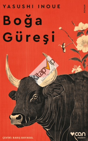 Boğa Güreşi