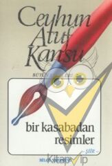 Bir Kasabadan Resimler