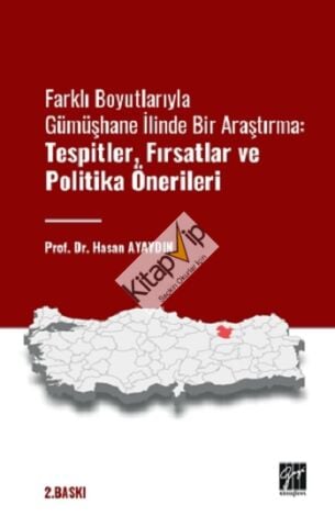 Farklı Boyutlarıyla Gümüşhane İlinde Bir Araştırma: Tespitler, Fırsatlar, ve Politika Önerileri