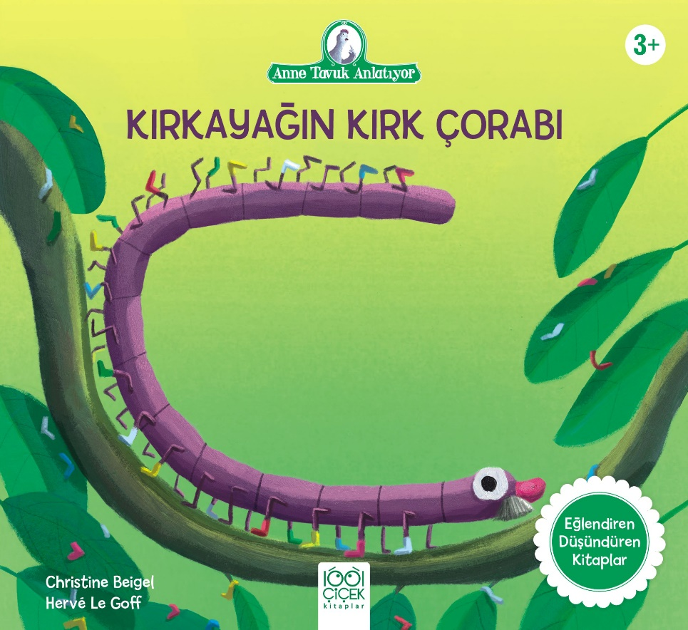 Kırkayağın Kırk Çorabı
