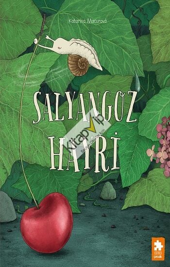 Salyangoz Hayri