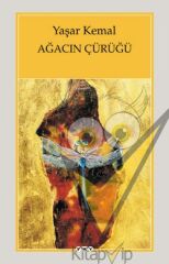 Ağacın Çürüğü
