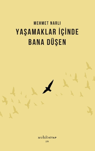 Yaşamaklar İçinde Bana Düşen