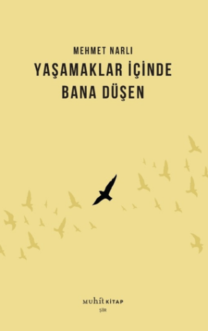 Yaşamaklar İçinde Bana Düşen