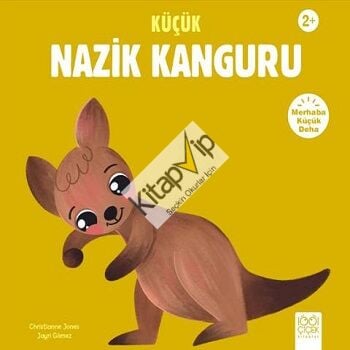 Küçük Nazik Kanguru