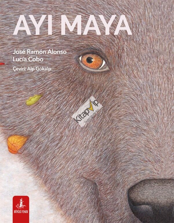 Ayı Maya