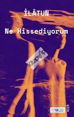 Ne Hissediyorum