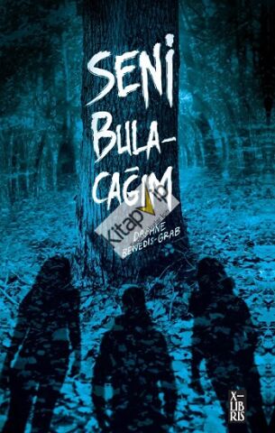 Seni Bulacağım