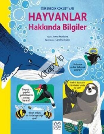 Hayvanlar Hakkında Bilgiler - Öğrenecek Çok Şey Var