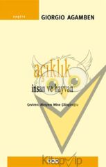 Açıklık