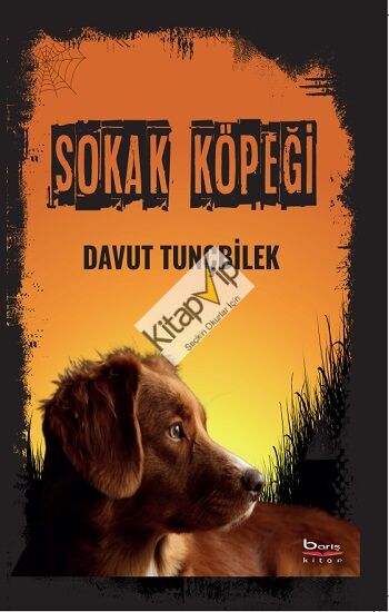 Sokak Köpeği