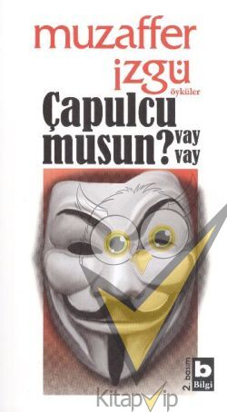Çapulcu musun Vay Vay?