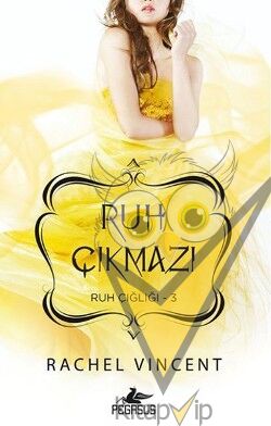 Ruh Çığlığı 3 : Ruh Çıkmazı