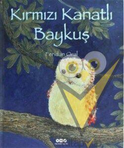 Kırmızı Kanatlı Baykuş