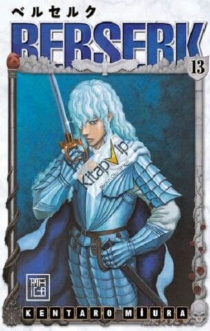 Berserk 13