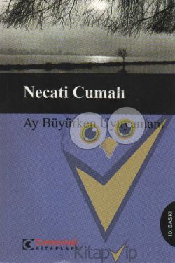 Ay Büyürken Uyuyamam